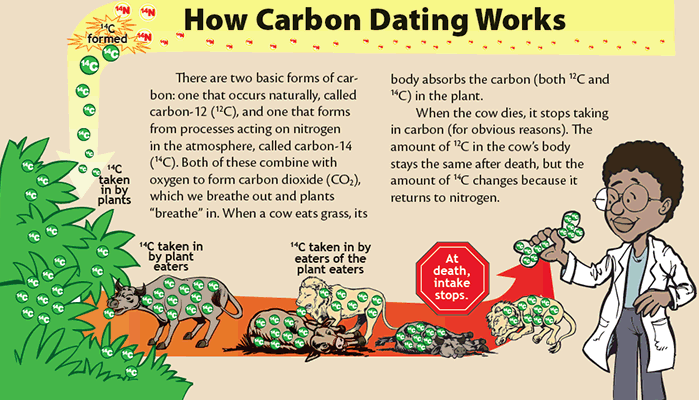 How is carbon dating performed